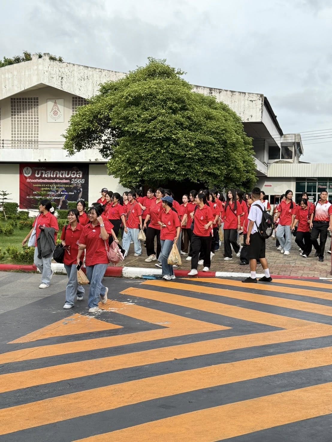 528688292 1270028178245260 2918801188352467597 n